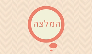 טל שפיר המלצה