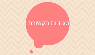 סגנונות תקשורת בארגונים הרצאה מומלצת טל שפיר