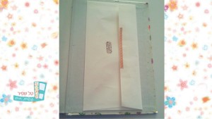 טל שפיר ניהול זמן