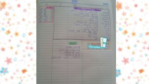 טל שפיר אפקטיביות