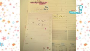 טל שפיר אפקטיביות