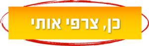 טל שפיר סדנת תענון שנתית