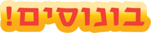 טל שפיר סדנת תכנון