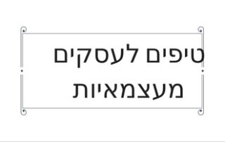 אימון עסקי טל שפיר