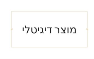 מוצר דיגיטלי טל שפיר