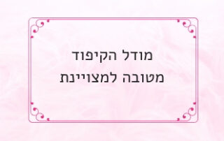 מודל הקיפוד מטוב למצויין