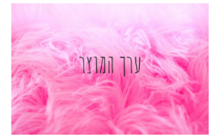 ערך המוצר